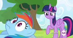 Size: 1152x609 | Tagged: safe, derpibooru import, edit, edited screencap, screencap, rainbow dash, twilight sparkle, twilight sparkle (alicorn), alicorn, pony, rainbow falls, caption, female, mare, meme, youtube caption