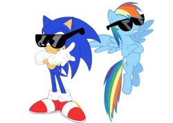 Size: 600x427 | Tagged: artist:snicketbar, crossover, derpibooru import, rainbow dash, safe, simple background, sonic the hedgehog, sonic the hedgehog (series), sunglasses, transparent background, vector