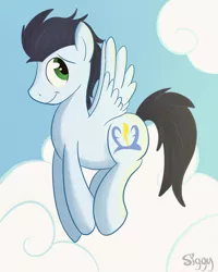 Size: 2775x3474 | Tagged: artist:siggyderp, cloud, cloudy, derpibooru import, safe, soarin', solo