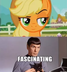 Size: 610x659 | Tagged: applejack, cat, clothes, derpibooru import, eyebrows, fascinating, safe, spock, star trek, star trek (tos), three's a crowd, unconvinced applejack, uniform