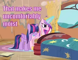 Size: 900x700 | Tagged: suggestive, derpibooru import, princess cadance, twilight sparkle, twilight sparkle (alicorn), alicorn, pony, three's a crowd, caption, female, hilarious in hindsight, image macro, mare, moist, purple text, text, wet, wet mane