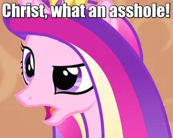 Size: 600x480 | Tagged: annoyed, caption, derpibooru import, image macro, meme, open mouth, princess cadance, raised eyebrow, reaction image, safe, solo, text, three's a crowd, vulgar