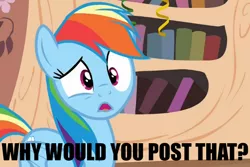 Size: 600x400 | Tagged: caption, daring don't, derpibooru import, faic, image macro, meme, national random holiday party day, rainbow dash, reaction image, safe, solo, why would you post that