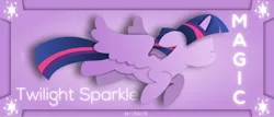 Size: 3999x1707 | Tagged: safe, artist:mrcbleck, derpibooru import, twilight sparkle, twilight sparkle (alicorn), alicorn, pony, female, mare, minimalist, modern art, solo