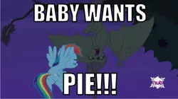 Size: 510x286 | Tagged: safe, derpibooru import, fluttershy, rainbow dash, bat, bat pony, rainbow dash presents, a bug's life, bat ponified, caption, flutterbat, hub logo, image macro, race swap, text