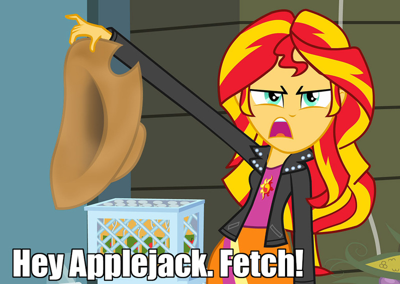 Size: 1016x720 | Tagged: safe, derpibooru import, applejack, sunset shimmer, equestria girls, applejack's hat, caption, cowboy hat, exploitable meme, hat, meme, solo, sunset is disgusted, this will end in pain, this will end in tears