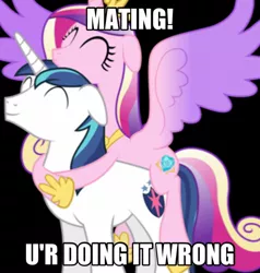 Size: 1494x1570 | Tagged: caption, derpibooru import, implied sex, mating, meme, princess cadance, shining armor, suggestive, you're doing it wrong
