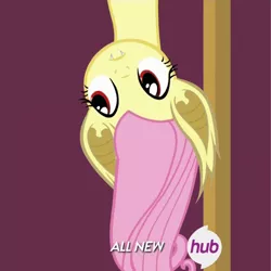 Size: 1000x1000 | Tagged: artist needed, safe, derpibooru import, edit, edited edit, edited screencap, editor:vb, screencap, fluttershy, bat pony, bats!, filli vanilli, bat ponified, flutterbat, hub logo, race swap, solo