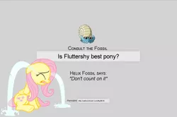 Size: 1017x675 | Tagged: consult the fossil, crying, derpibooru import, fluttershy, helix fossil, lord helix, omanyte, pokémon, sad, safe, twitch plays pokémon