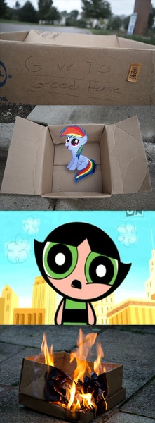 Size: 1316x3576 | Tagged: abuse, buttercup (powerpuff girls), dashabuse, dashie meme, derpibooru import, evil people finding dash meme, exploitable meme, irresponsible people finding dash meme, meme, obligatory pony, rainbow dash, safe, the powerpuff girls