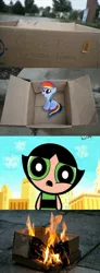 Size: 1316x3576 | Tagged: abuse, buttercup (powerpuff girls), dashabuse, dashie meme, derpibooru import, evil people finding dash meme, exploitable meme, irresponsible people finding dash meme, meme, obligatory pony, rainbow dash, safe, the powerpuff girls