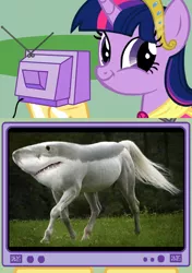 Size: 564x800 | Tagged: safe, derpibooru import, twilight sparkle, twilight sparkle (alicorn), alicorn, pony, exploitable meme, faic, female, mare, meme, obligatory pony, smirk, tv meme, twiface, what has science done, wrong neighborhood