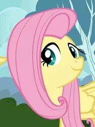 Size: 291x388 | Tagged: derpibooru import, fluttershy, it ain't easy being breezies, safe, screencap, solo