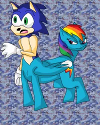 Size: 1276x1592 | Tagged: semi-grimdark, artist:mojo1985, derpibooru import, rainbow dash, amphisbæna, centaur, original species, abomination, conjoined, fusion, help me, image, lol, merge, multiple heads, png, sonic the hedgehog, sonic the hedgehog (series), wat, we have become one, weird, what has science done, wtf