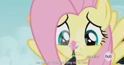 Size: 1150x609 | Tagged: breezie, caption, derpibooru import, edit, edited screencap, fluttershy, hub logo, it ain't easy being breezies, meme, safe, screencap, seabreeze, size difference, youtube caption
