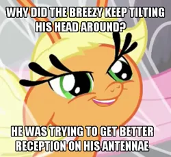 Size: 456x418 | Tagged: applebreezie, applejack, breezie, breeziefied, caption, carlos, carlosjack, derpibooru import, image macro, it ain't easy being breezies, joke, meme, safe, solo, species swap, text