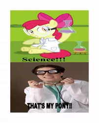 Size: 483x597 | Tagged: apple bloom, caption, clothes, derpibooru import, dr. insano, edit, edited screencap, lab coat, meme, safe, science, screencap, that's my pony, that's my x, the spoony experiment, twilight time