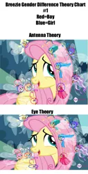 Size: 479x945 | Tagged: safe, derpibooru import, edit, edited screencap, screencap, seabreeze, breezie, pegasus, pony, it ain't easy being breezies, chart, gender differences in breezies