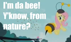 Size: 542x322 | Tagged: safe, derpibooru import, edit, edited screencap, screencap, fluttershy, seabreeze, bee, breezie, insect, pony, it ain't easy being breezies, animal costume, bee costume, caption, clothes, costume, female, flutterbee, homestar runner, image macro, mare, meme, strong bad, text