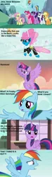 Size: 1248x4208 | Tagged: safe, derpibooru import, edit, edited screencap, screencap, rainbow dash, seabreeze, twilight sparkle, twilight sparkle (alicorn), alicorn, breezie, pony, it ain't easy being breezies, caption, comic, dragonball z abridged, dude looks like a lady, female, mare, parody, screencap comic, viewer gender confusion