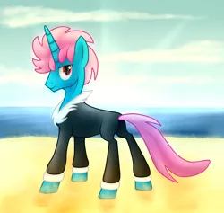 Size: 1916x1815 | Tagged: safe, artist:wolframclaws, derpibooru import, seabreeze, ponified, breezie, pony, unicorn, it ain't easy being breezies, beach, solo, species swap