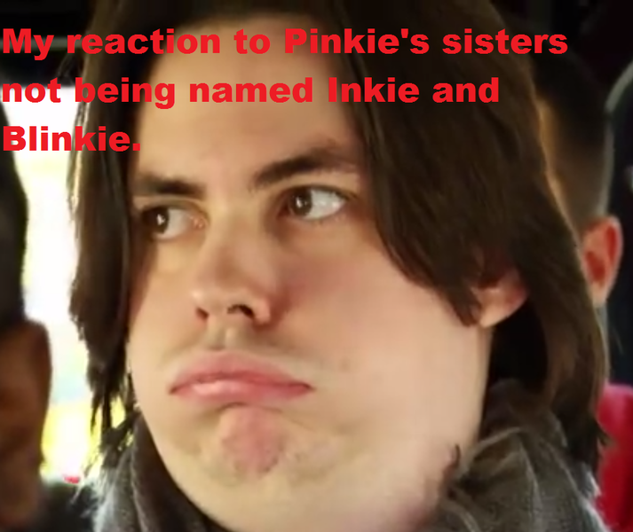 Size: 882x742 | Tagged: arin hanson, caption, derpibooru import, duckface, egoraptor, human, image macro, irl, irl human, limestone pie, marble pie, maud pie (episode), meme, meta, photo, pinkie pie, reaction, safe, text