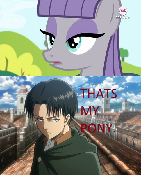 Size: 640x791 | Tagged: attack on titan, caption, derpibooru import, edit, edited screencap, levi ackerman, maud pie, maud pie (episode), meme, safe, screencap, that's my x