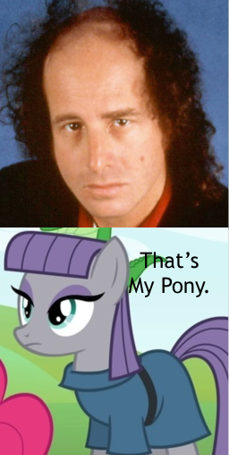 Size: 256x508 | Tagged: comparison, derpibooru import, maud pie, maud pie (episode), meme, safe, steven wright, that's my pony, that's my x