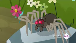 Size: 1440x810 | Tagged: cute, derpibooru import, flower, fuzzy legs, hub logo, maud pie (episode), safe, screencap, solo, spider, spiderbro