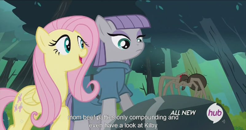 Size: 1439x762 | Tagged: caption, derpibooru import, edit, edited screencap, fluttershy, fuzzy legs, hub logo, maud pie, maud pie (episode), meme, safe, screencap, spider, youtube caption