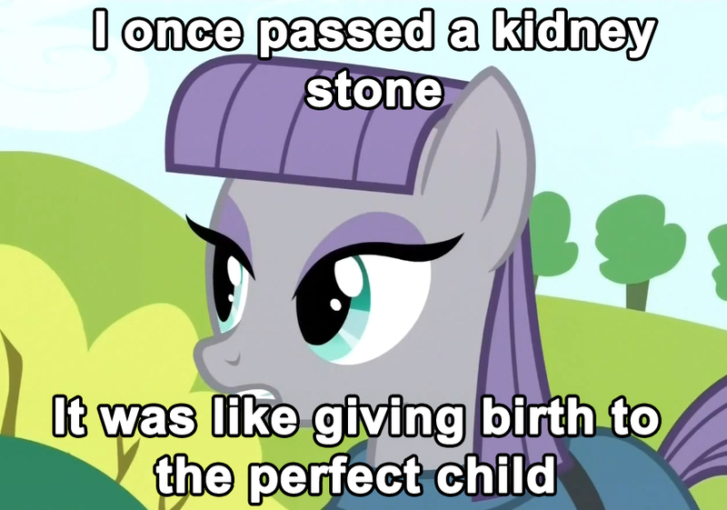 Size: 890x624 | Tagged: birth, caption, derpibooru import, edit, edited screencap, image macro, kidney stone, maud pie, maud pie (episode), meme, offspring, perfection, pun, rock, rock pun, safe, screencap, solo, stone, text, that pony sure does love rocks