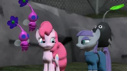 Size: 1366x768 | Tagged: safe, artist:fezwearingdoctor, derpibooru import, maud pie, pinkie pie, earth pony, pikmin, pony, maud pie (episode), 3d, female, gmod, mare, pikmin 3, rock pikmin, winged pikmin