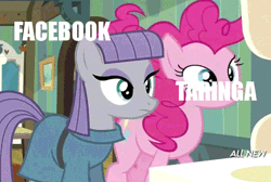 Size: 600x404 | Tagged: safe, derpibooru import, edit, edited screencap, screencap, maud pie, pinkie pie, earth pony, pony, maud pie (episode), :t, animated, caption, derp, facebook, female, gif, great moments in animation, mare, metaphor, metaphor gif, shaking, smear frame, smiling, taringa