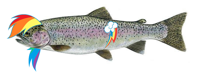 Size: 799x304 | Tagged: artist:diabeetusdragon, derpibooru import, fish, maybe salmon, not salmon, pun, rainbow dash, rainbow trout, safe, that's totally a salmon, visual pun, wat