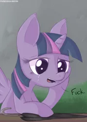 Size: 500x700 | Tagged: safe, artist:kinkyspree, derpibooru import, twilight sparkle, twilight sparkle (alicorn), alicorn, pony, crying, female, mare, rain, reaction image, solo, umbrella, vulgar