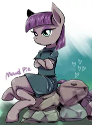 Size: 757x1024 | Tagged: artist:kiriya, boulder (pet), clothes, derpibooru import, maud pie, maud pie (episode), safe, solo