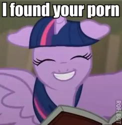 Size: 250x255 | Tagged: safe, derpibooru import, twilight sparkle, twilight sparkle (alicorn), alicorn, pony, castle mane-ia, book, caption, female, image macro, mare, meme, porn, smiling, solo, text