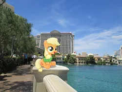 Size: 3200x2400 | Tagged: safe, artist:austinious, artist:missbeigepony, derpibooru import, applejack, human, pony, caesar's palace, car, clothes, female, filly, hotel, irl, las vegas, photo, pond, ponies in real life, shadow, shirt, sidewalk, sitting, solo, vector, water