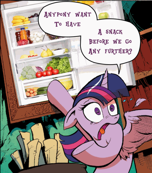 Size: 862x983 | Tagged: safe, derpibooru import, idw, twilight sparkle, twilight sparkle (alicorn), alicorn, pony, spoiler:comic, female, mare, meme, refrigerator, solo