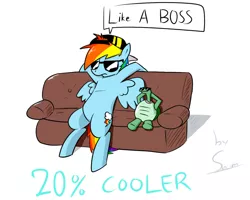 Size: 1280x1024 | Tagged: 20% cooler, artist:swomswom, couch, derpibooru import, like a boss, rainbow dash, safe, sunglasses, tank