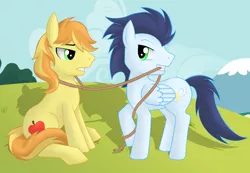 Size: 2600x1800 | Tagged: artist:kuro-no-yuki, braeburn, cute, derpibooru import, gay, male, pet play, rope, safe, shipping, soarburn, soarin'