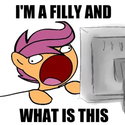 Size: 800x800 | Tagged: artifact, artist:lootascoo, derpibooru import, i'm a filly and what is this, i'm twelve years old and what is this?, reaction image, safe, scootaloo, solo, sweetie derelle