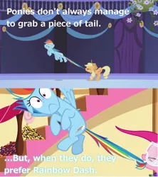 Size: 1280x1444 | Tagged: safe, derpibooru import, edit, edited screencap, screencap, applejack, pinkie pie, rainbow dash, earth pony, pegasus, pony, friendship is magic, maud pie (episode), caption, comic, female, goggles, image macro, innuendo, mare, meme, mouth hold, pun, rock candy, tail, tail pull, text, wide eyes