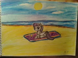 Size: 2560x1920 | Tagged: artist:gpgo-sparkling-panda, beach, boulder (pet), derpibooru import, juice, lemonade, maud pie, ocean, safe, solo, summer, traditional art