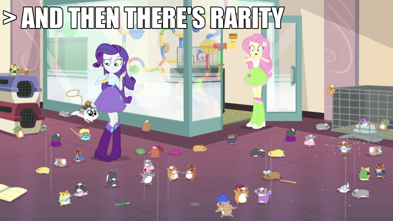Size: 1920x1080 | Tagged: safe, derpibooru import, screencap, amelia furhart, carl pettington, fluttershy, rarity, cat, hamster, equestria girls, hamstocalypse now, rainbow rocks, and then there's rarity, boots, bracelet, cage, clothes, high heel boots, it begins, jewelry, kitten, meme origin, pencil, rope, shoes, skirt