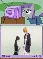 Size: 498x682 | Tagged: bleach (manga), derpibooru import, exploitable meme, kuchiki rukia, kurosaki ichigo, maud pie, meme, obligatory pony, safe, tv meme