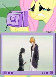 Size: 1120x1528 | Tagged: bleach (manga), derpibooru import, exploitable meme, fluttershy, meme, obligatory pony, safe, tv meme