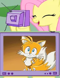 Size: 638x826 | Tagged: crossover, derpibooru import, exploitable meme, fluttershy, meme, miles "tails" prower, obligatory pony, safe, sonic the hedgehog (series), sonic x, tv meme