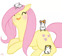 Size: 488x441 | Tagged: artist:mcponyponypony, bijou, cute, derpibooru import, fluttershy, hamtaro, safe, stan (hamtaro)