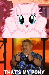 Size: 480x729 | Tagged: caption, derpibooru import, gabriel iglesias, image macro, meme, meta, oc, oc:fluffle puff, safe, text, that's my pony, that's my x, unofficial characters only